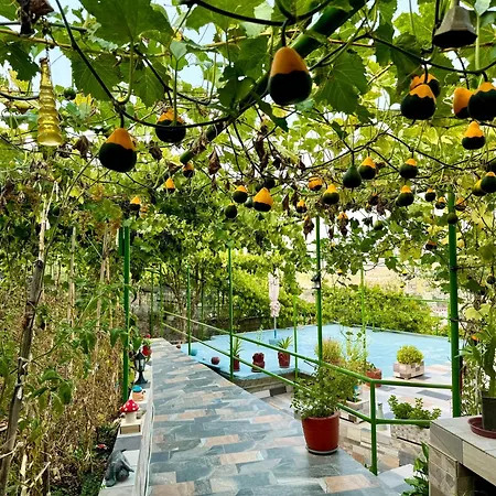 Panoramic View Πανσιόν 3*