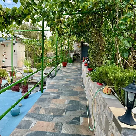 Panoramic View بيت ضيافة